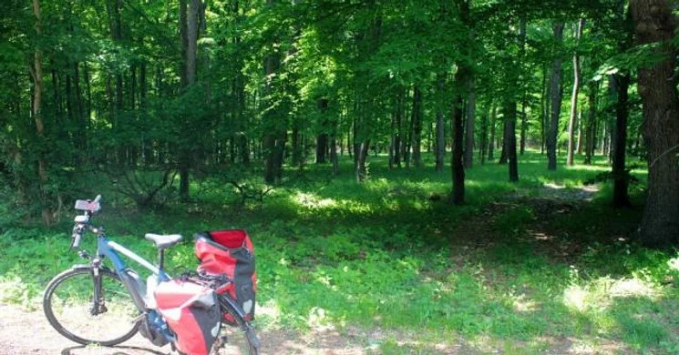 E-bike túra. Ismerje meg a Duna-Dráva Nemzeti Park szépségeit kerékpáros túrákon!