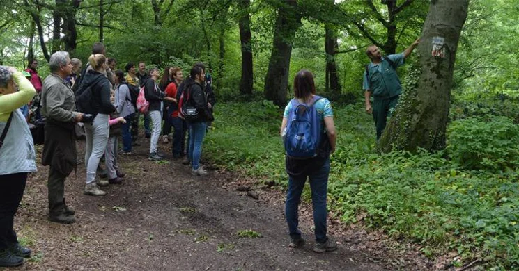 Bőköz tanösvény, ökotúra a Duna-Dráva Nemzeti Parkban Kisszentmárton Majláthpusztán