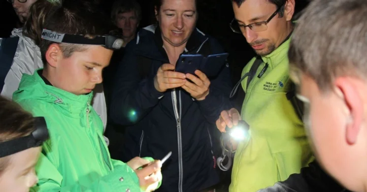 Szent Iván-éji túra Ócsa 2025. Az éjszakai erdő