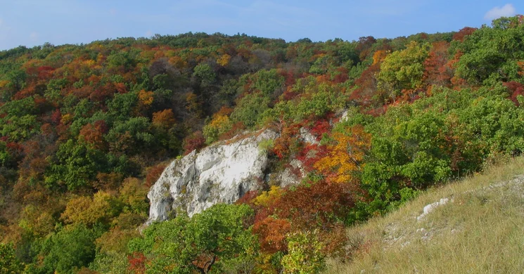 Haraszt-hegyi tanösvény Csákvár