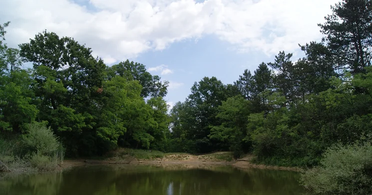 Jági tanösvény Pilisszentiván, ökotúra a Budai-hegységben, a Duna-Ipoly Nemzeti Parkban