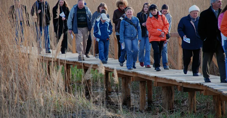 Kékbegy tanösvény Farmos