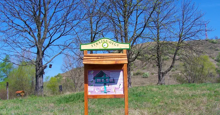 Strázsa-hegyi tanösvény