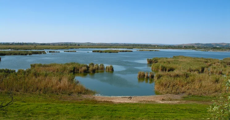 Dinnyési-fertő Madárdal tanösvény