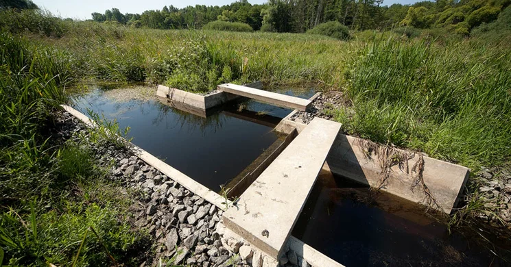 Páskom legelő tanösvény Dejtár, ökotúra a Duna-Ipoly Nemzeti Park területén