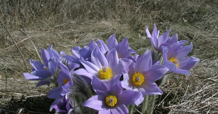 Fotóstúra a Duna-Ipoly Nemzeti Parkban 2026
