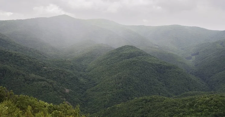 Túrák a Börzsönyben 2025. A Duna-Ipoly Nemzeti Park túraajánlatai