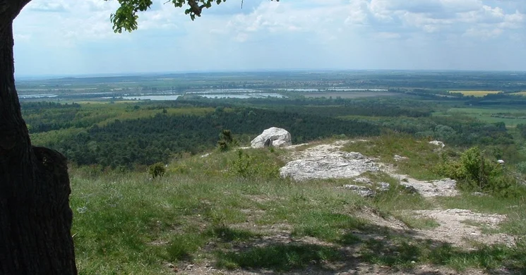 Dunaalmás kilátópont és Kőpite túrakörök tanösvény