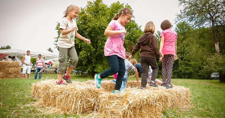 Családi Nap Dömös. Dömösi Zöld Forgatag