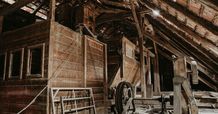 Fenyves Malom Veszprém