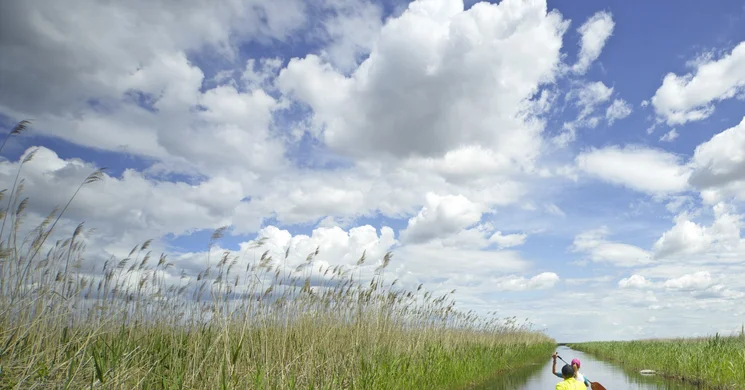 Kenutúra Fertő 2025. Kenutúra a nádasban a Fertő-tavon