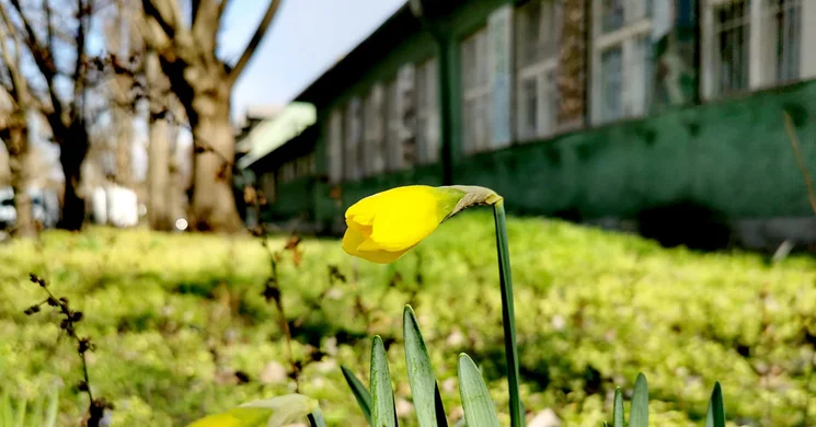 Konnektor – Művészeti Inkubátorház Budapest