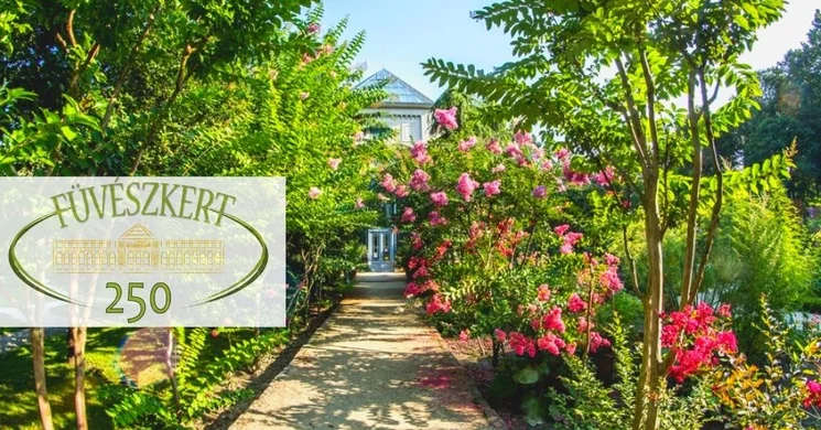 Füvészkert Budapesten, látogatás a főváros botanikus kertjében