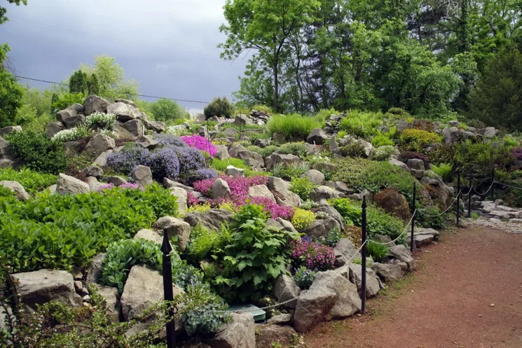 Sziklakert Szegedi Füvészkert