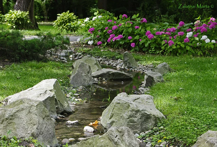 Kertvezetés a Szegedi Füvészkertben 2026