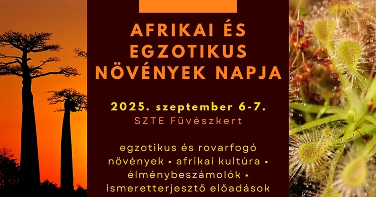 Afrika Nap 2025. Ismerje meg a fekete kontinenst a Szegedi Füvészkert rendezvényével