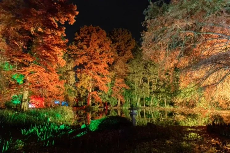 Momiji japán ünnep 2026 Szeged - Gyönyörködés az őszi lombszíneződésben a Füvészkertben