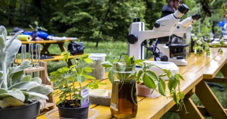 Növények Napja 2026 - Családi Nap a Szegedi Tudományegyetem Füvészkertjében