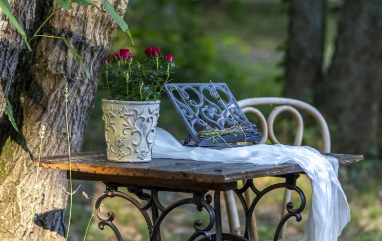 Levendula Napok Szeged 2026 - Levendula és Rózsa napok a Nyári virágkavalkádon a Szegei Füvészkertben