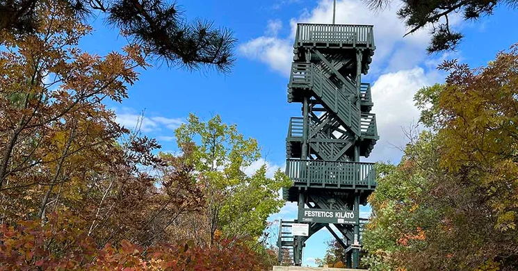 Gyenesdiás kirándulás 2025. Öreg-Szék-tető - Berzsenyi kilátó körtúra