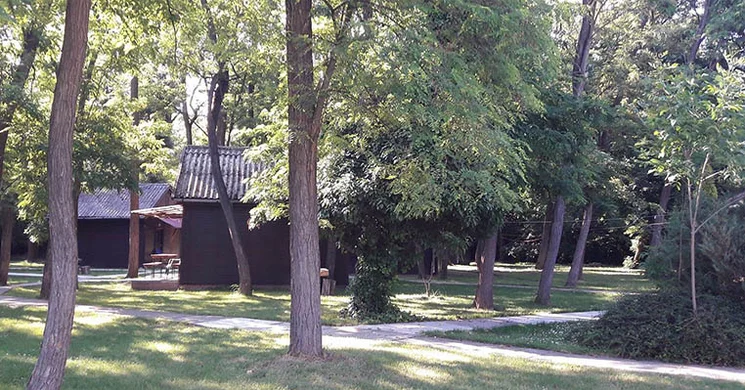 Gyomaendrődi Ifjúsági- és Sporttábor