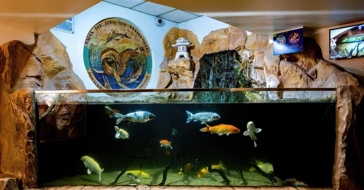 Bécs Tenger Háza látogatás