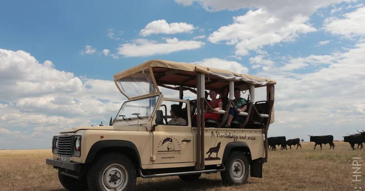 Vadaspark látogatás a Hortobágyon, ismerje meg az ősi puszta vadvilágát