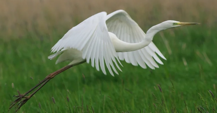 Föld Napja a Hortobágyi Nemzeti Parkban 2025