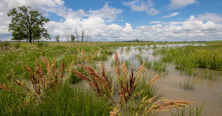 Bihari-sík tanösvény