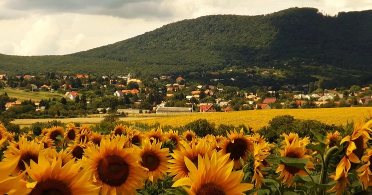 Hosszúhetényi programok 2026 - események és rendezvények egész évben