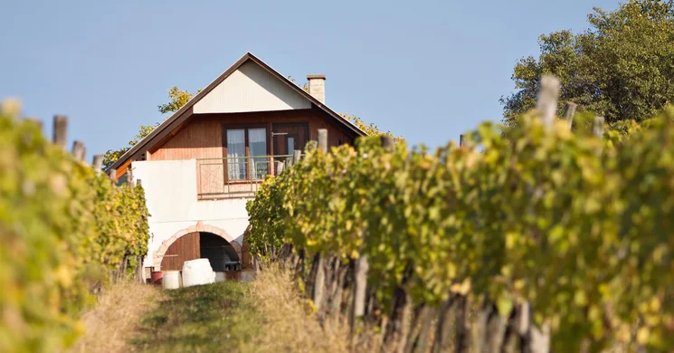 Istenhegyi Borház Rátka