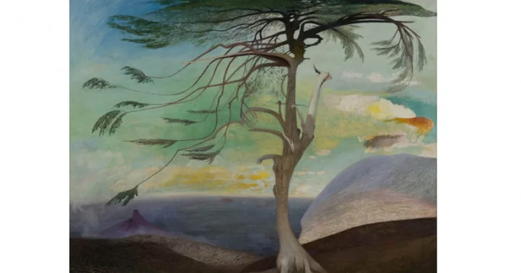 Janus Pannonius Múzeum