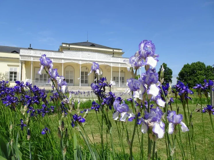 Komolyzenei koncert Fehérvárcsurgón 2026