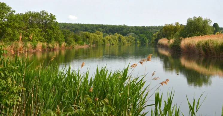 Félhalmi Nagyhalfogó Horgászverseny 2025 Csárdaszállás