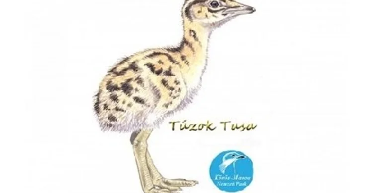 Természetismereti vetélkedő 2025. Túzok Tusa természetismereti vetélkedő