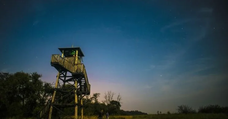 Éjszakai sátorozás és kirándulás a szabadkígyósi Nagyerdőben 2025