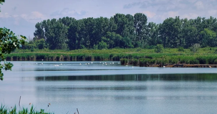 Szent Iván-éji séta 2025. Nyáresti séta a Körös-Maros Nemzeti Parkban, Biharugrán