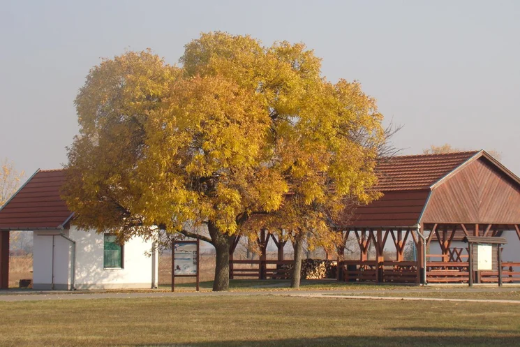 Ködvirág Erdei Iskola