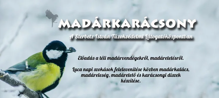 Luca-napi szokások 2025. Madárkarácsony a Réhelyi Látogatóközpontban Dévaványán