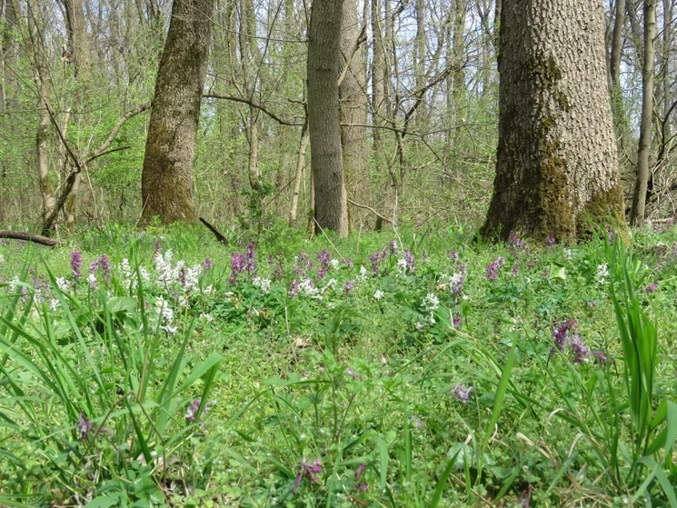 Körös-Maros Nemzeti Park programok 2026 - Események, rendezvények