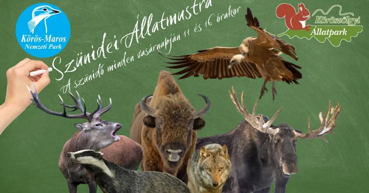 Látványetetés. Szünidei Állatmustra a Körösvölgyi Látogatóközpont és Állatparkban
