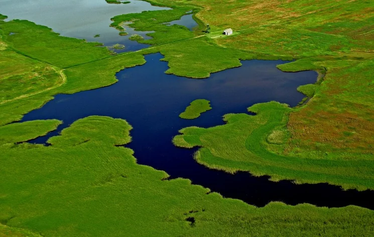 A Bihari Táj Napja 2026. Természetvédelmi nyílt nap