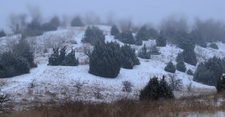 Mikulás-napi túra. A Mikulás nyomában a Fülöpházi homokbuckák rejtekén