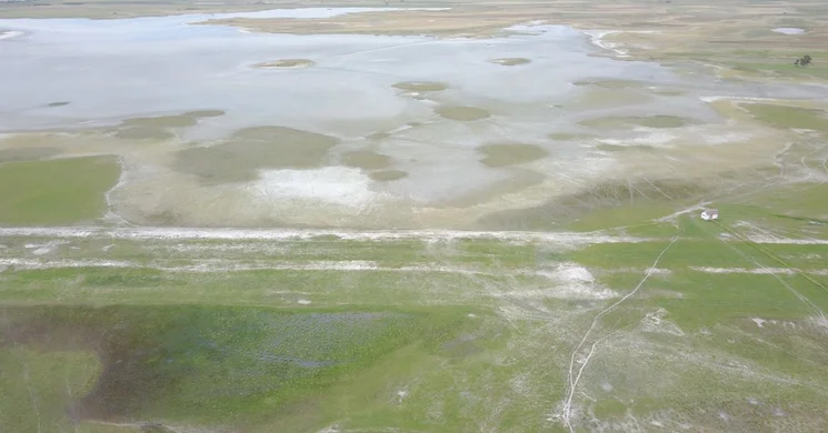 Felső Kiskunsági tavak, gyalogtúra a Gulipán tanösvényen