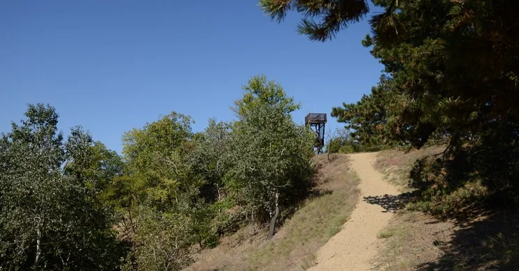 Kolon-tó túra, a Bikatorok tanösvény