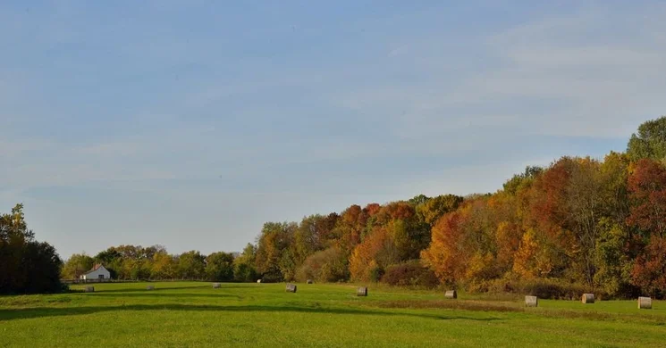 Kolon-tavi Madárvárta programok 2025