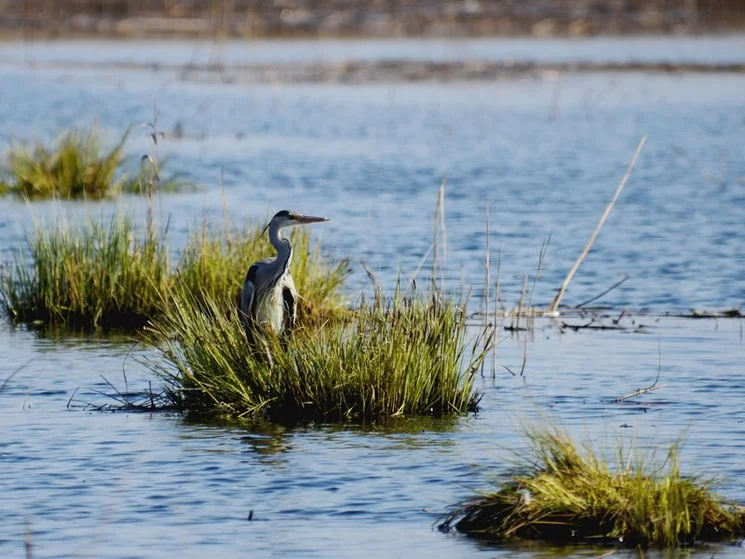 Víz világnapja programok a Kiskunsági Nemzeti Parkban 2026