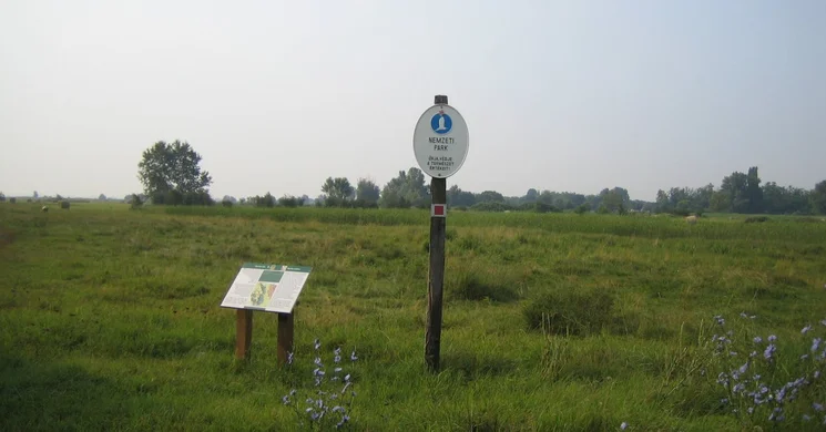 Szelidi-tó tanösvény, séta hazánk egyetlen mély vizű, szikes jellegű tavánál