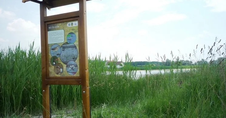 Vöcsök tanösvény, kirándulás a Péteri-tavi halastavaknál