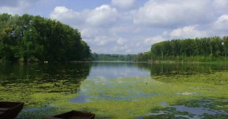 Mártély túra 2025. Kirándulások az ártér mentén a Kiskunsági Nemzeti Park szervezésében